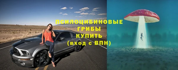 гидра Армянск