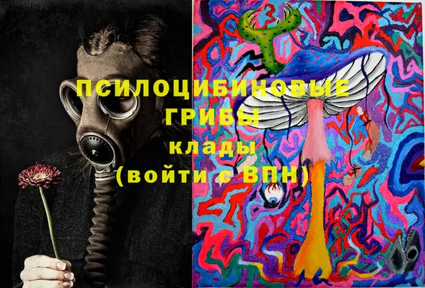 гидра Армянск