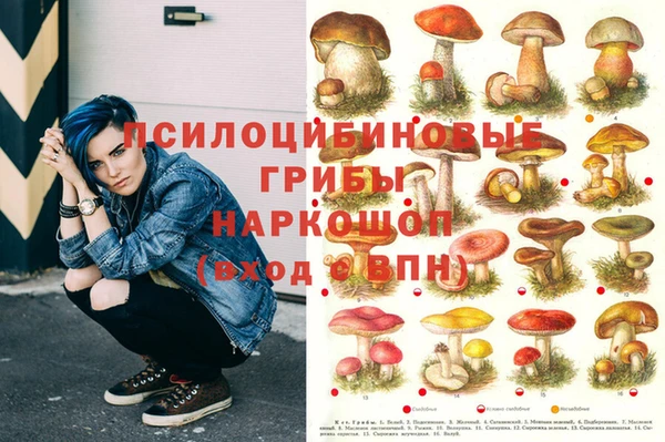гидра Армянск