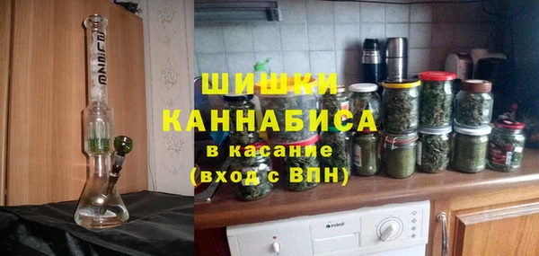 прущие грибы Нея