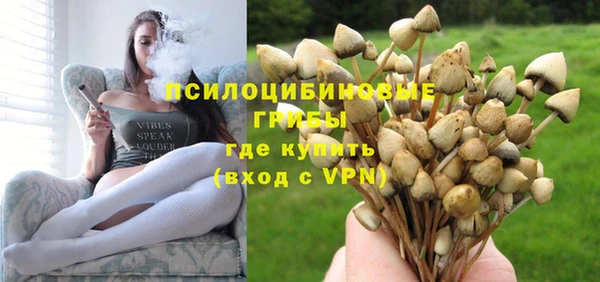 ешки Абдулино