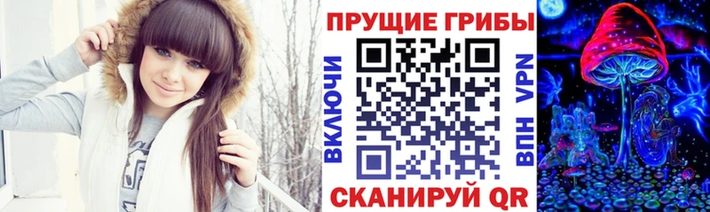 блэк спрут как войти  Курск  Псилоцибиновые грибы Magic Shrooms  наркотики 